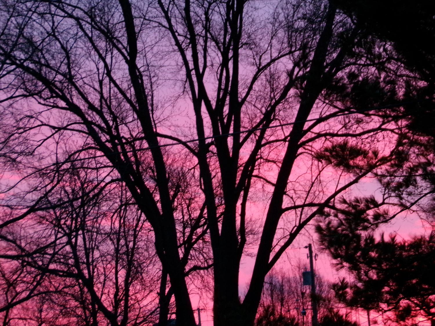 Senior Joshua Butler shares what speak to him through his lens.