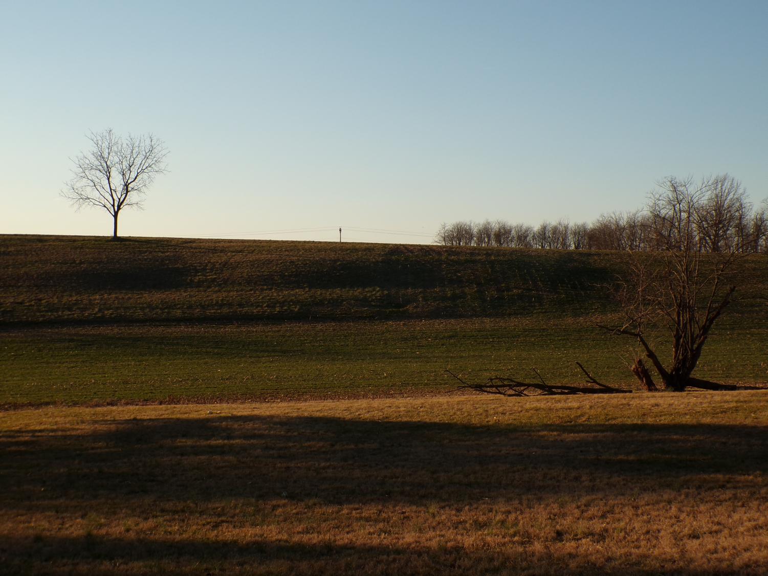 Senior Joshua Butler shares what speak to him through his lens.