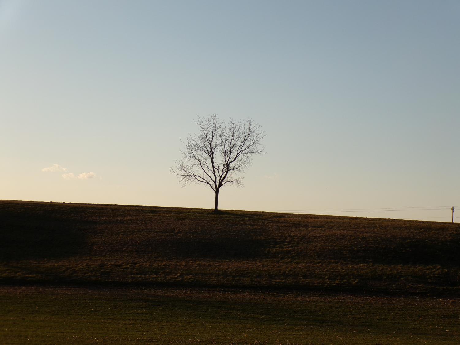 Senior Joshua Butler shares what speak to him through his lens.
